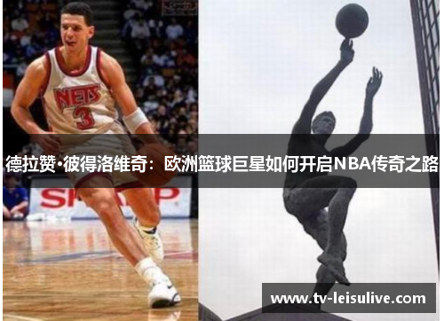 德拉赞·彼得洛维奇：欧洲篮球巨星如何开启NBA传奇之路