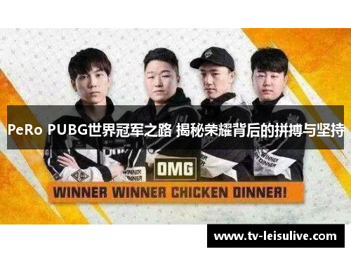PeRo PUBG世界冠军之路 揭秘荣耀背后的拼搏与坚持