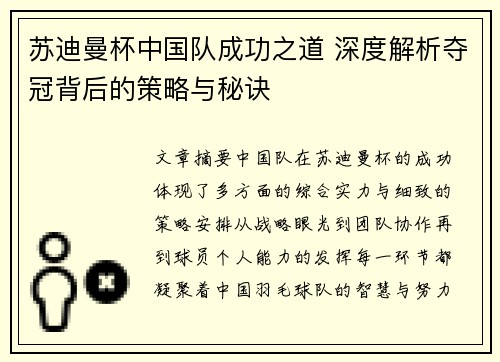 苏迪曼杯中国队成功之道 深度解析夺冠背后的策略与秘诀
